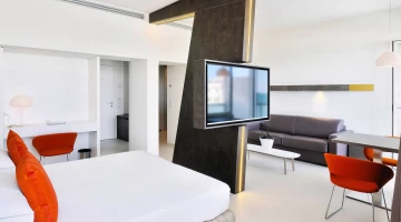 Suite with bedroom and sofa bed