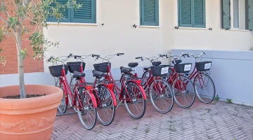 Location de vélos gratuite