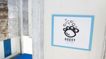 Dog washing area