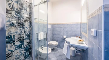 Private bathroom with shower cubicle and courtesy set
