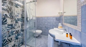 Private bathroom with shower cubicle and courtesy set