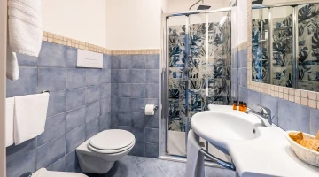 Private bathroom with shower cubicle and courtesy set