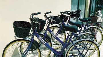 Bicycles for rent