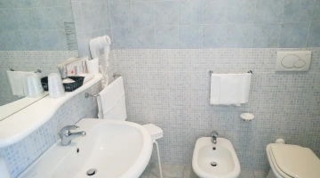 Private bathroom with wall-mounted hairdryer