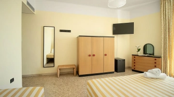 Dreifachkamera mit Fernseher