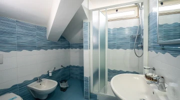 Salle de bain privée avec cabine de douche