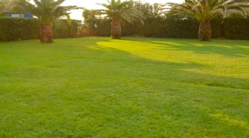 Gartenbereich