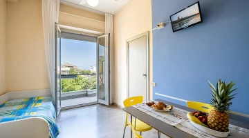Bilocale con TV e balcone