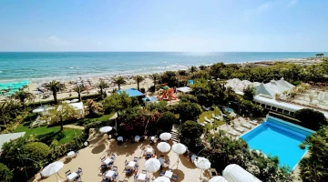 Aerial view of the garden with swimming pool