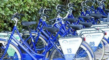 Bikes