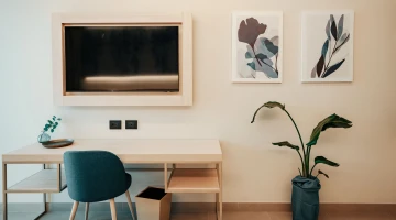 Furnishing details