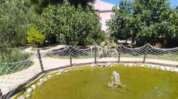 Détail du jardin