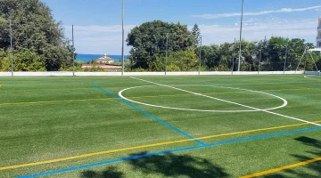 Multipurpose field