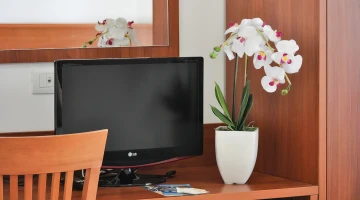 TV in camera