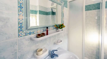 Detail of the bathroom