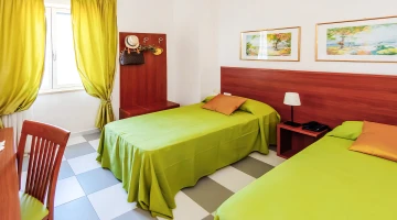 Twin bedded room