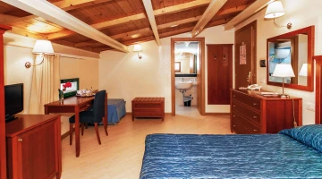 Attic double room with private bathroom, TV and desk