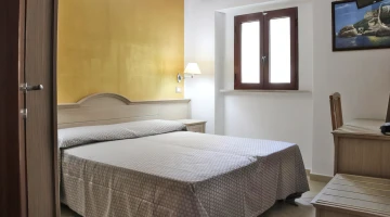 Standard double room