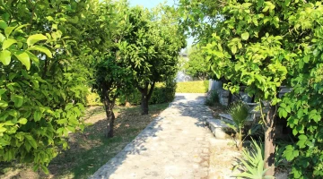 Hotel garden