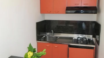 Kitchenette in the apartment