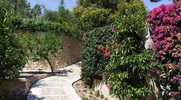 Garden with direct access to the beach