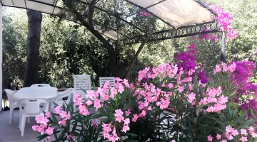 Private patio in independent apartment