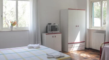 Triple camera with TV