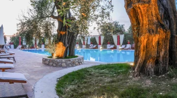 Swimming pool immersed in the garden