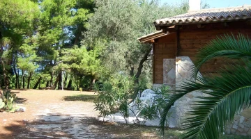 Sentiero nel giardino