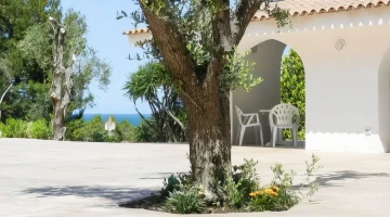 Spazio esterno alla lounge