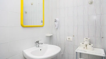 Private bathroom with wall-mounted hairdryer