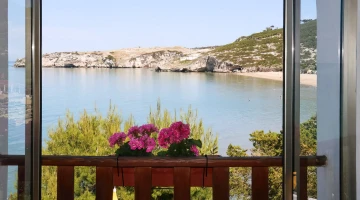 View from a bedroom window
