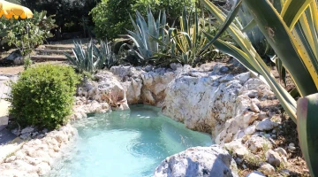 Garden with jacuzzi
