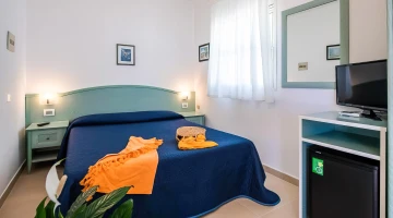 Room with TV and minibar