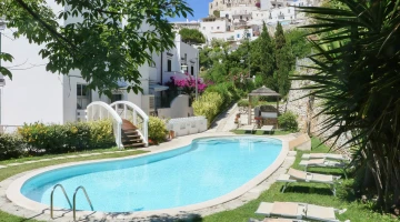 Swimming pool surrounded by greenery