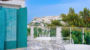 Panoramic common terrace