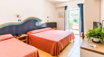 Standard Room with balcony
