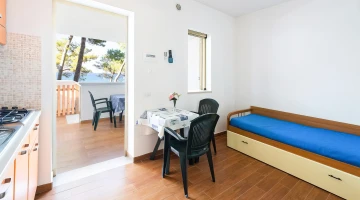 Living room with sofa bed in two-room apartment