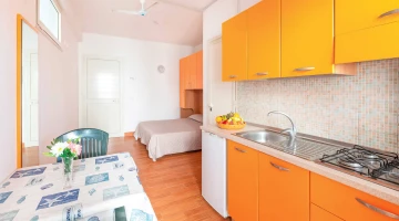 Studio apartment-overall view