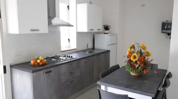 Apartments with kitchen