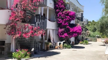 Exterior of apartments