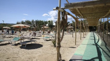 Umbrellas and sunbeds on the beach
