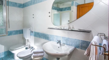 Salle de bain privée avec cabine de douche