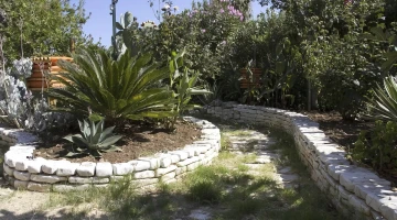 Garden area