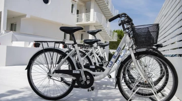 Possibility of renting bicycles