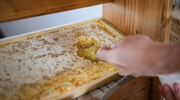 Honey for breakfast
