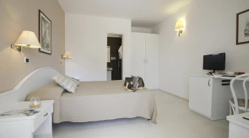 Superior double room with bathroom, TV and desk
