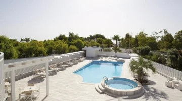 Swimming pool on the terrace