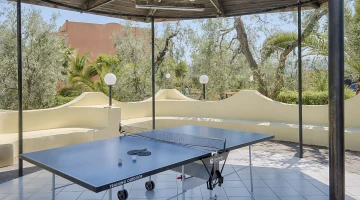Ping pong table