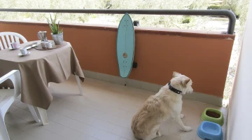 Balcony in Standard Room equipped for dogs